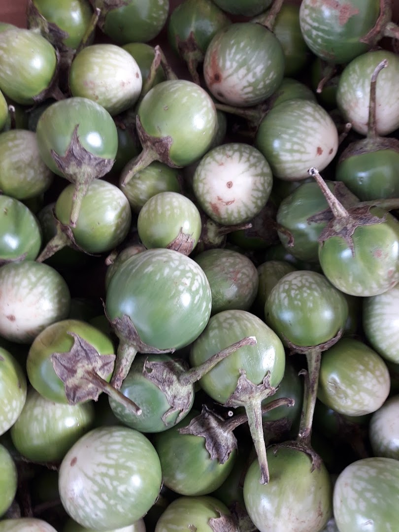 Frische grüne Auberginen am WORLDFOOD Verkaufsstand